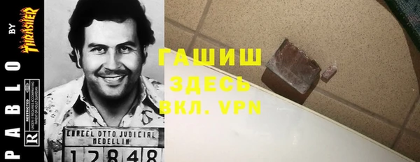 молекула духа Пестово