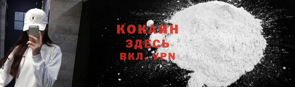 молекула духа Пестово