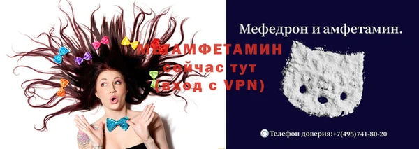 молекула духа Пестово