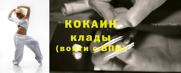 молекула духа Пестово