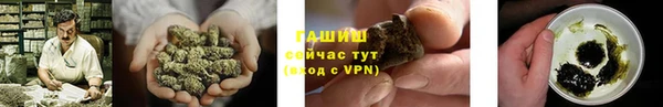 молекула духа Пестово