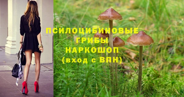 ECSTASY Пересвет