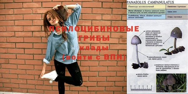 молекула духа Пестово