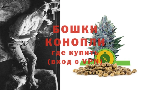 ECSTASY Пересвет