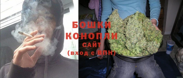 молекула духа Пестово
